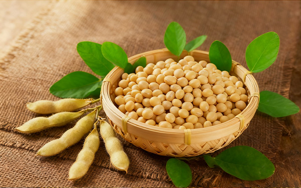 大豆